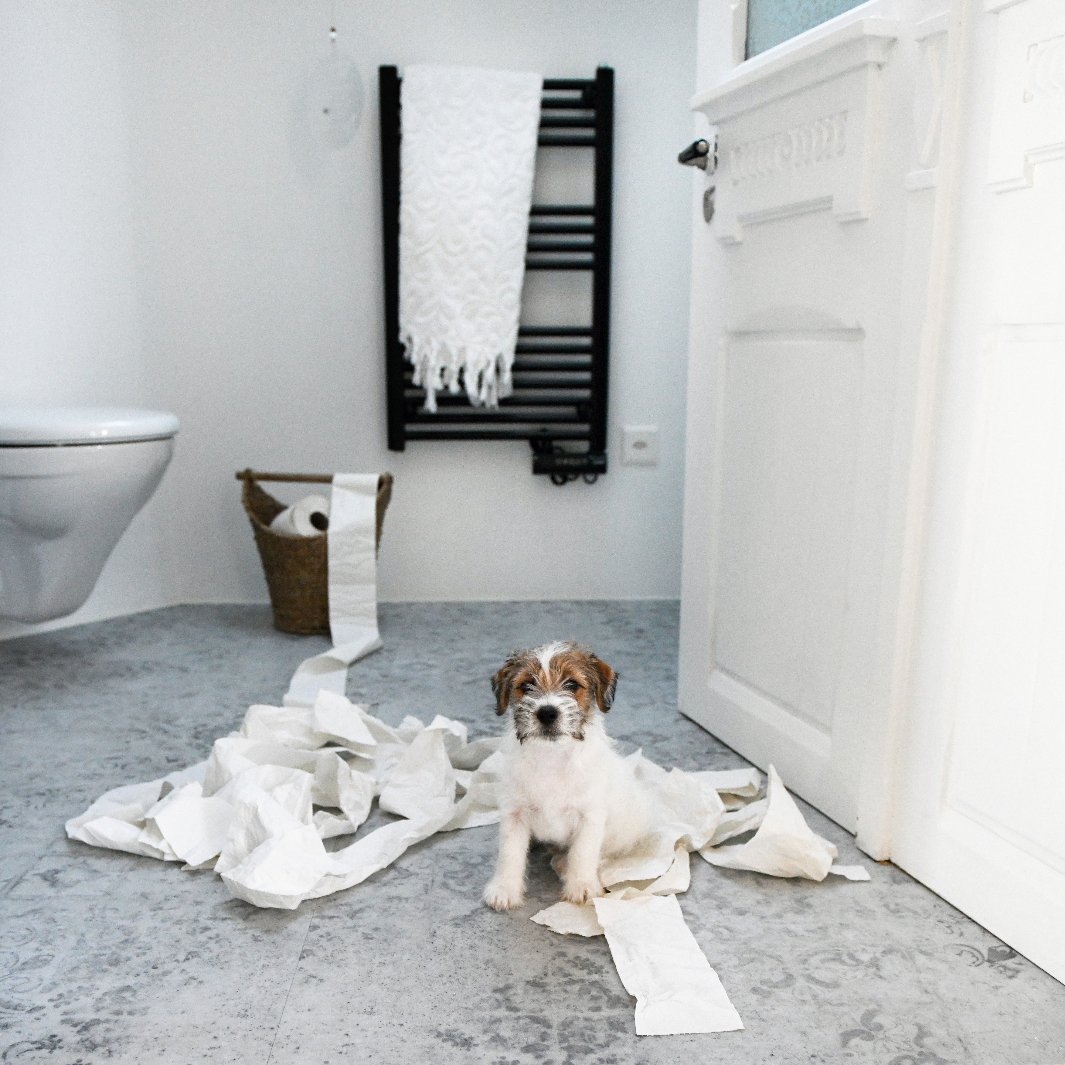 Ein Beispiel meiner Arbeit