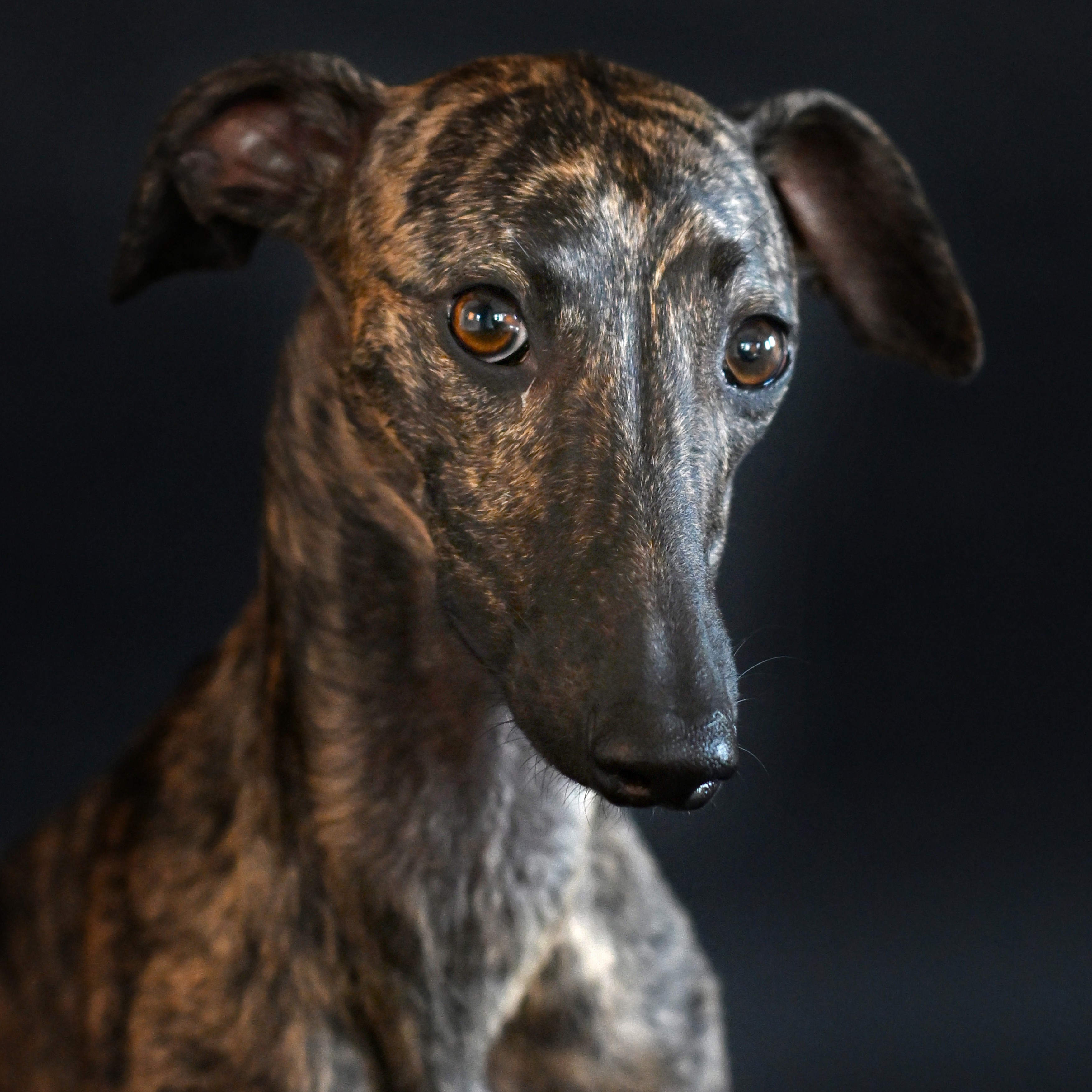 Ein Beispiel meiner Arbeit