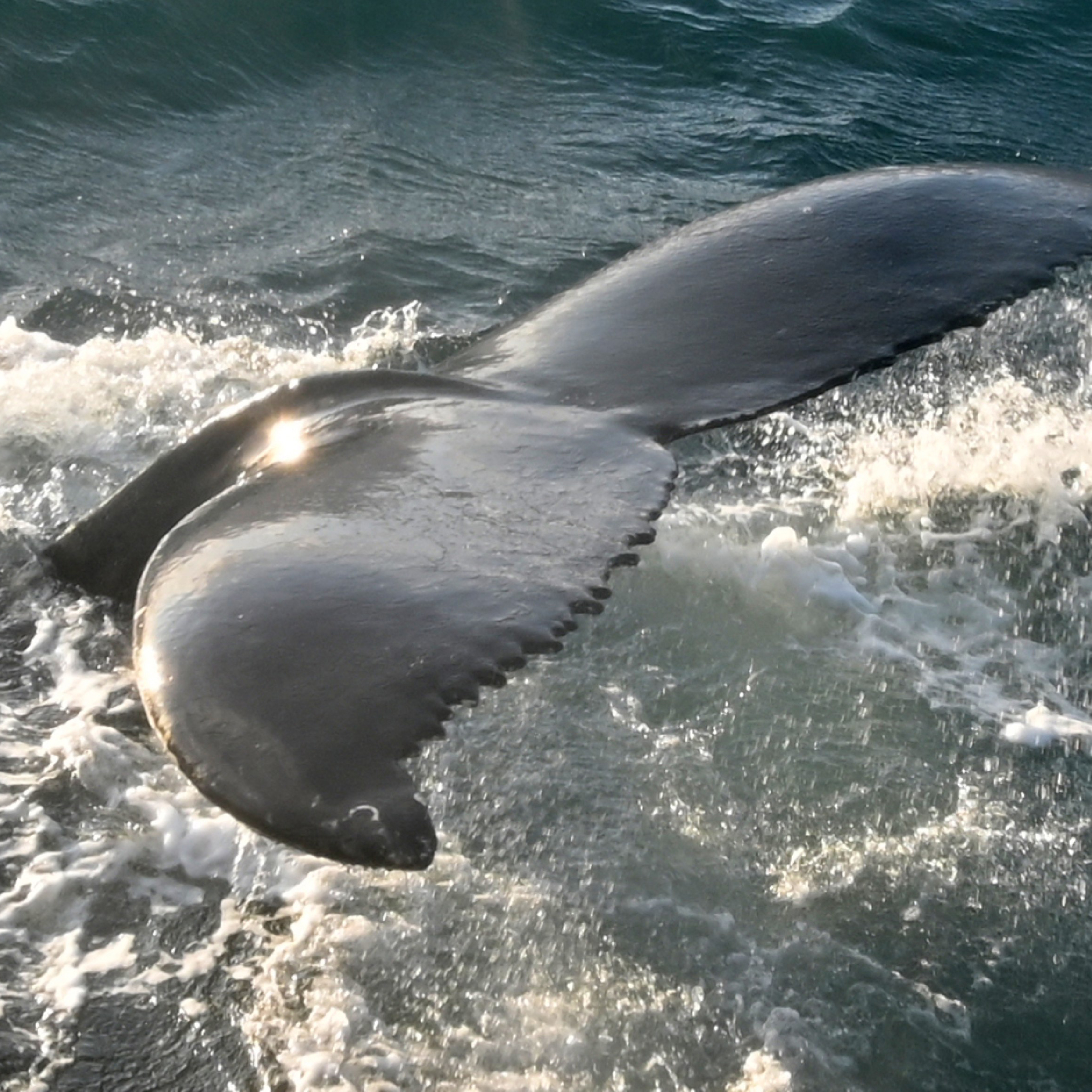 Ein Beispiel meiner Arbeit